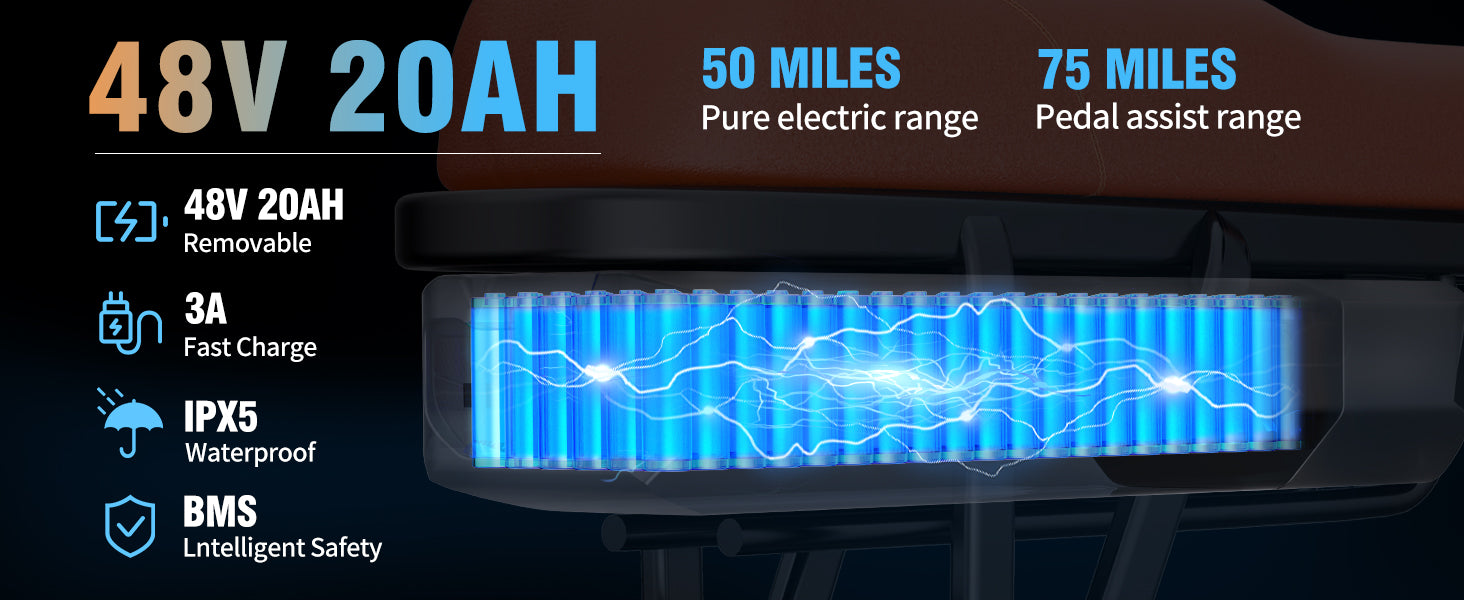 Ridstar® E Bike E26 1000W Motor 48V 20AH Battery