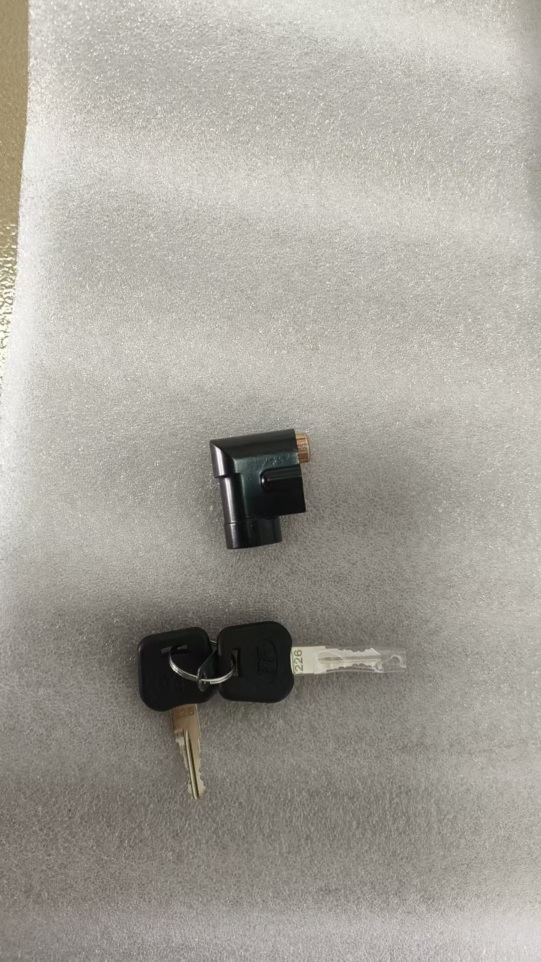 Ridstar Battery cover and key pair