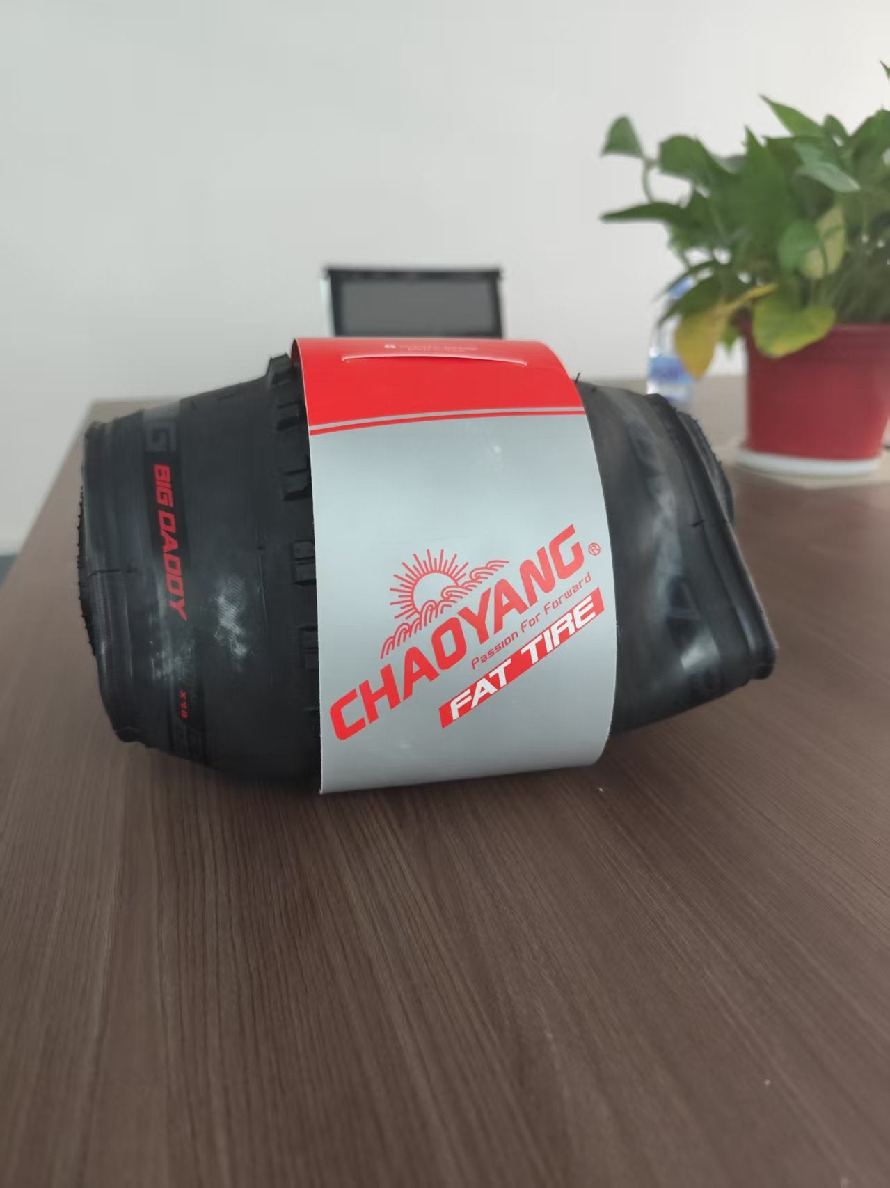 Ridstar 20 inch folding outer tire