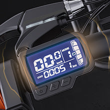 Ridstar® Q20Luxe Lite 1000W Fat Tire Ebike