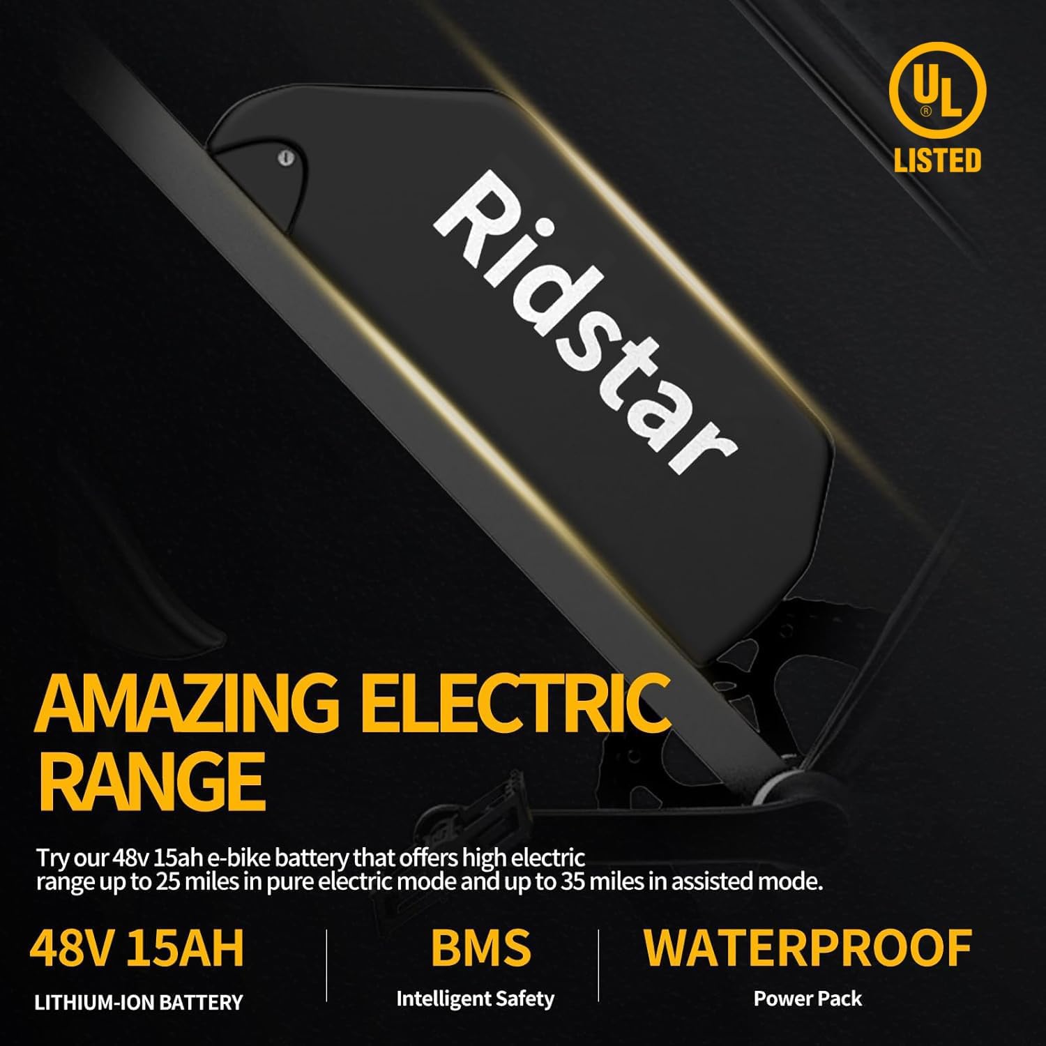 Ridstar Q20 1000W Fat Tire Ebike-6