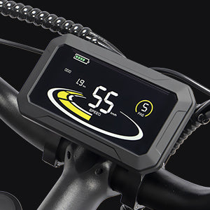 Vélo électrique à gros pneus Ridstar® Q20Pro 2000 W amélioré
