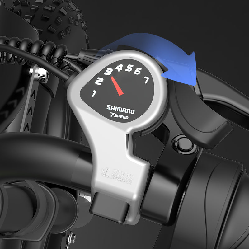Vélo électrique Ridstar® Q20 750W gros pneu
