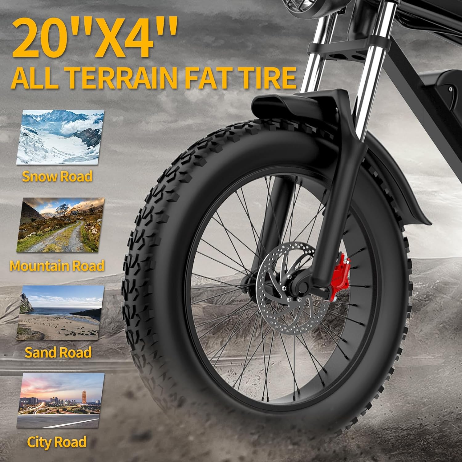 Ridstar Q20 1000W Fat Tire Ebike-5