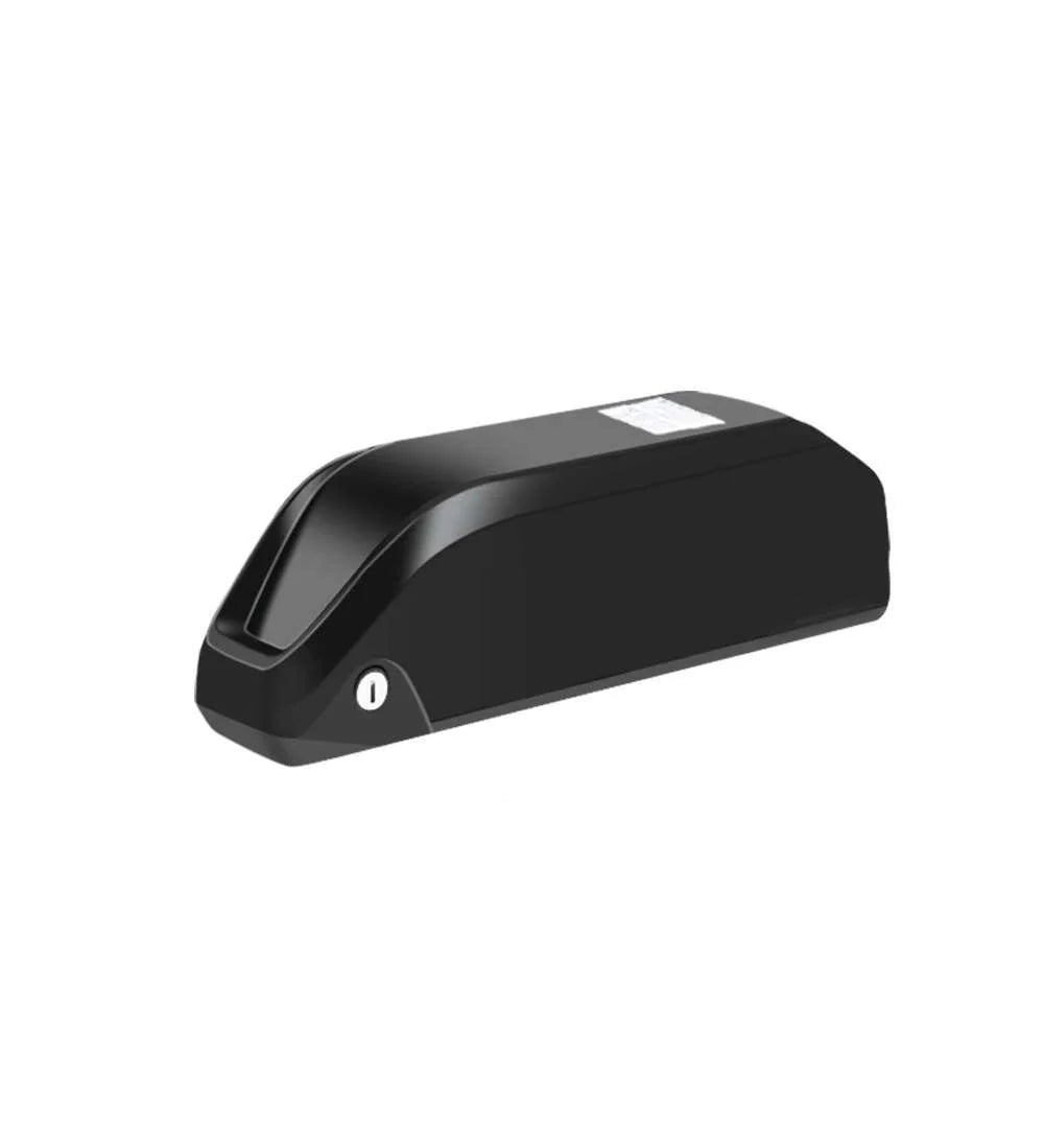 Batterie amovible pour vélo électrique Ridstar Q20/DC26/H20 48V 20AH
