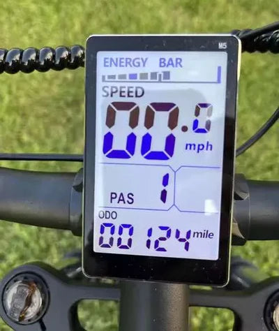 Écran LCD Ridstar