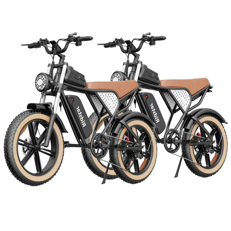 Ridstar® Q20Luxe 1500W 48V 20Ah Battery 20''Fat Tire Mountain Electric Bike for Adult * 2