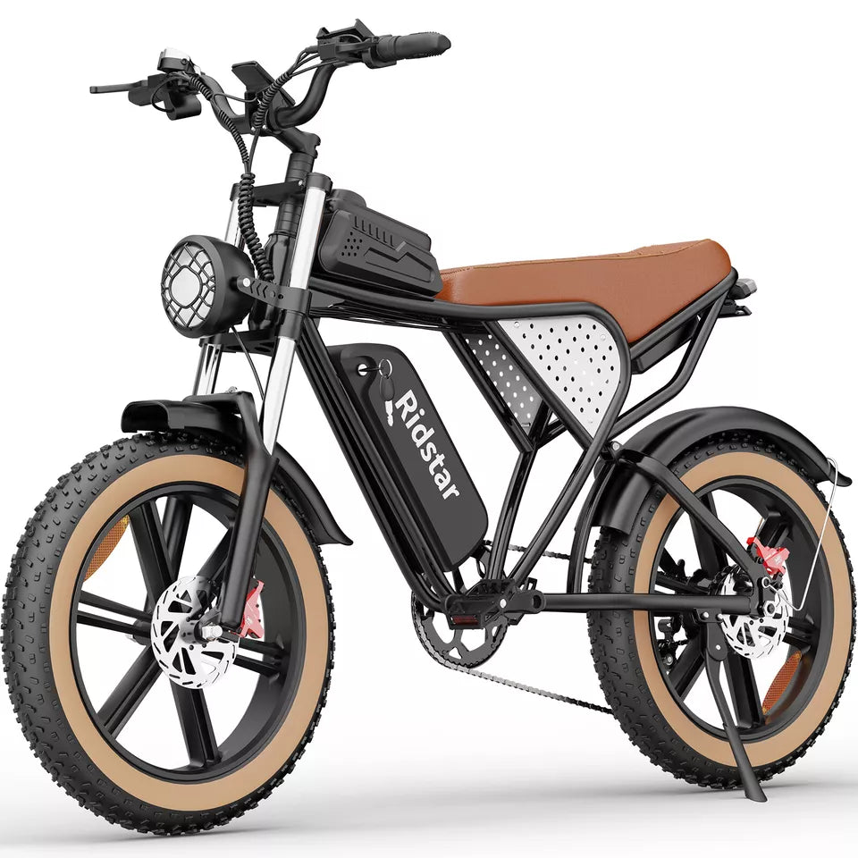 Ridstar® Q20luxe 1500w 48v 20ah Battery 20''fat Tire Mountain Electric 