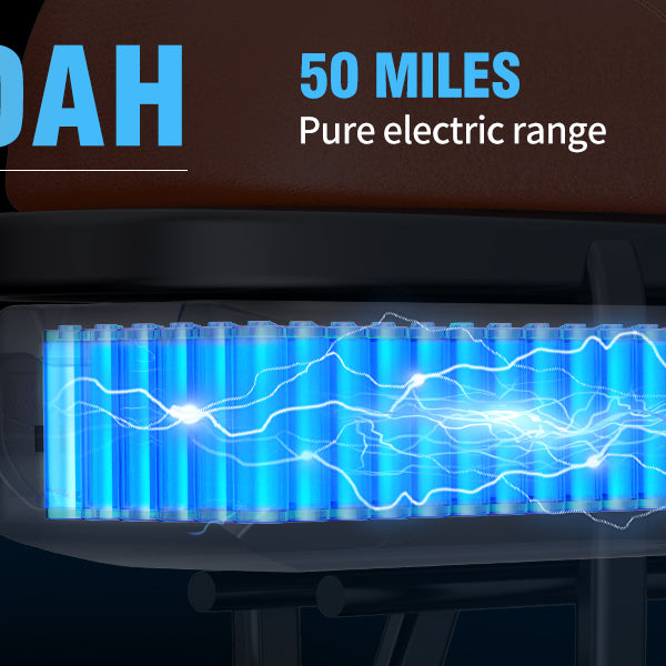 Ridstar® E Bike E26 1000W Motor 48V 20AH Battery