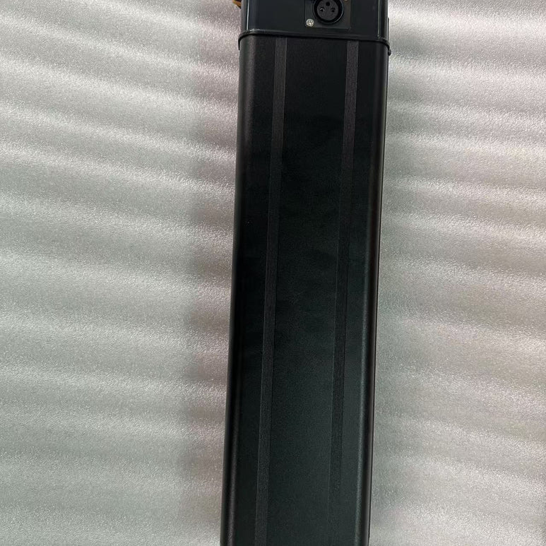 Batterie amovible pour vélo électrique Ridstar Q20/DC26/H20 48V 20AH 