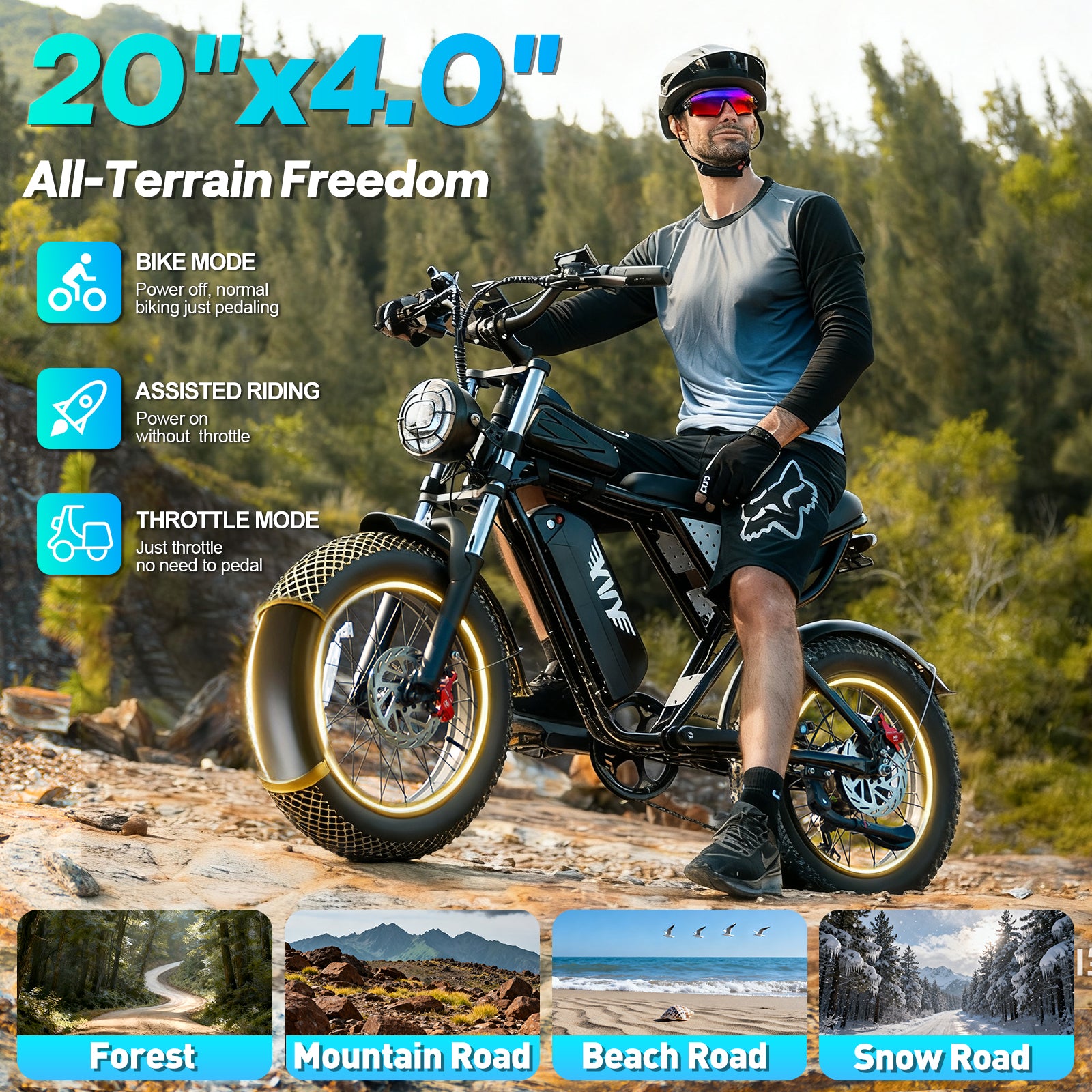 Bopzin  C21 1500W Fat Tire Electric Mountain Motorcycles