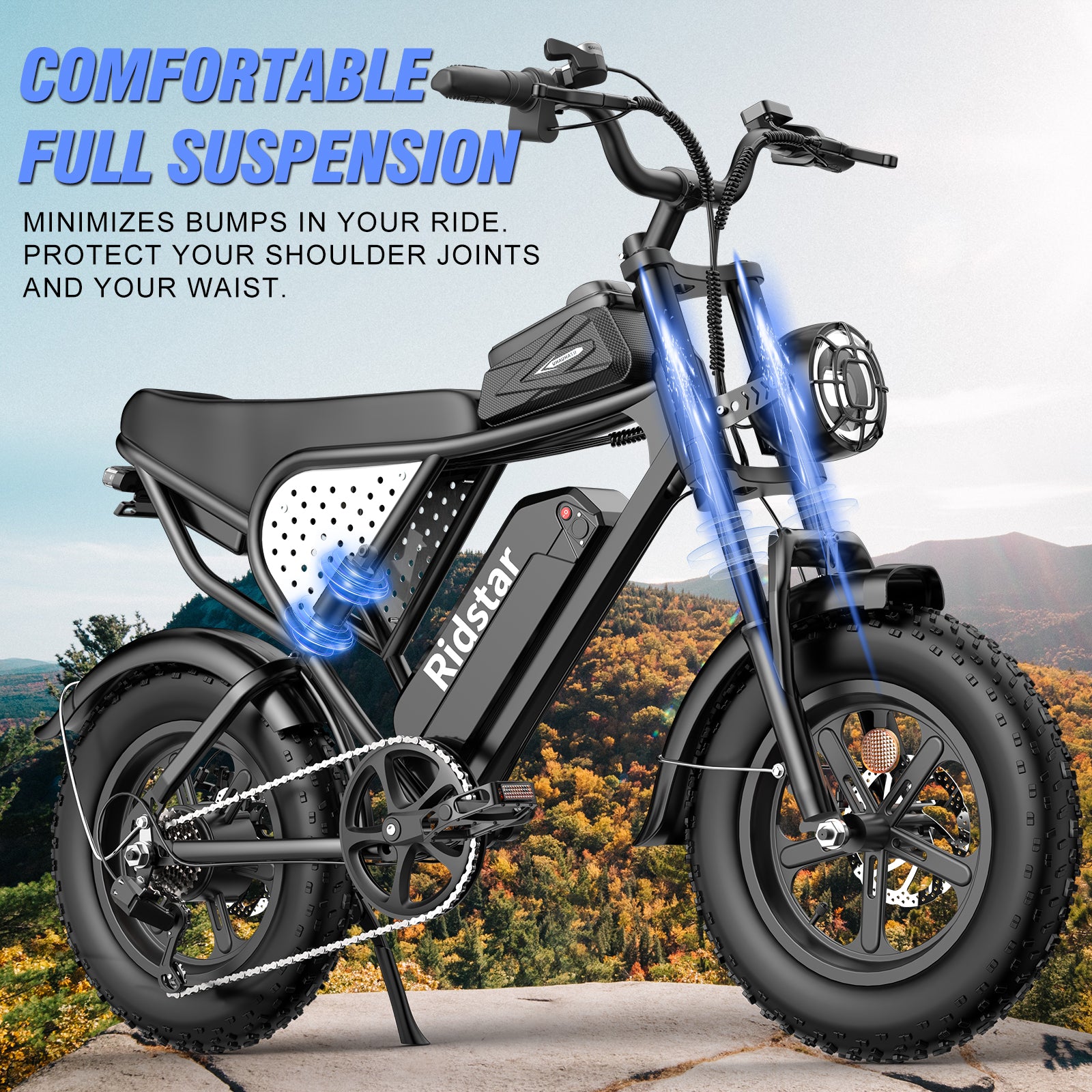 Ridstar® Q16 1500W Fat Tire Electric Bicycle