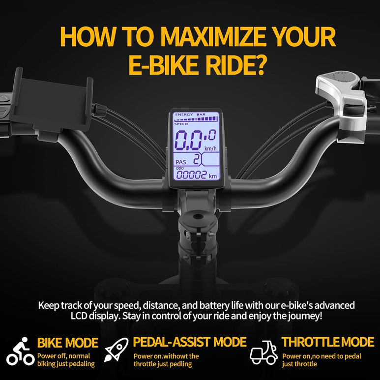 Ridstar Q20Pro 2000W Fat Tire Ebike-3