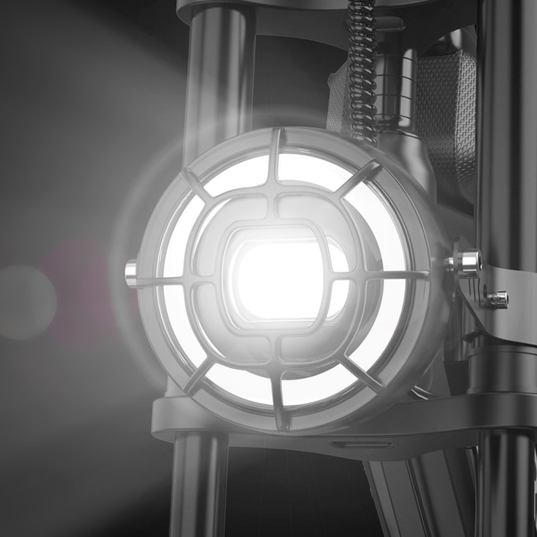 Ridstar® Q16 1500W Fat Tire Electric Bicycle