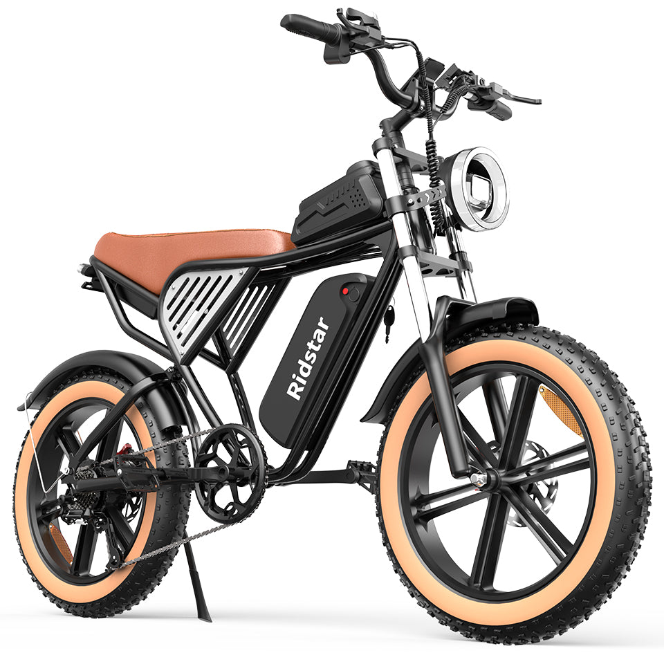 Ridstar® Q30Luxe 2000W Fat Tire Ebike