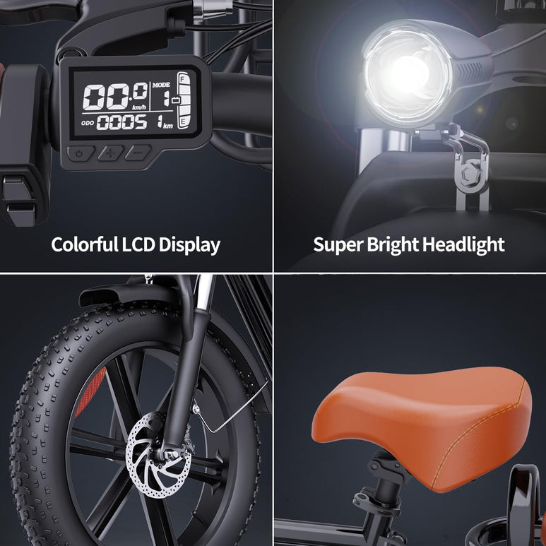 Ridstar FM001 2-Seater Fat Tire Electric Bike-6