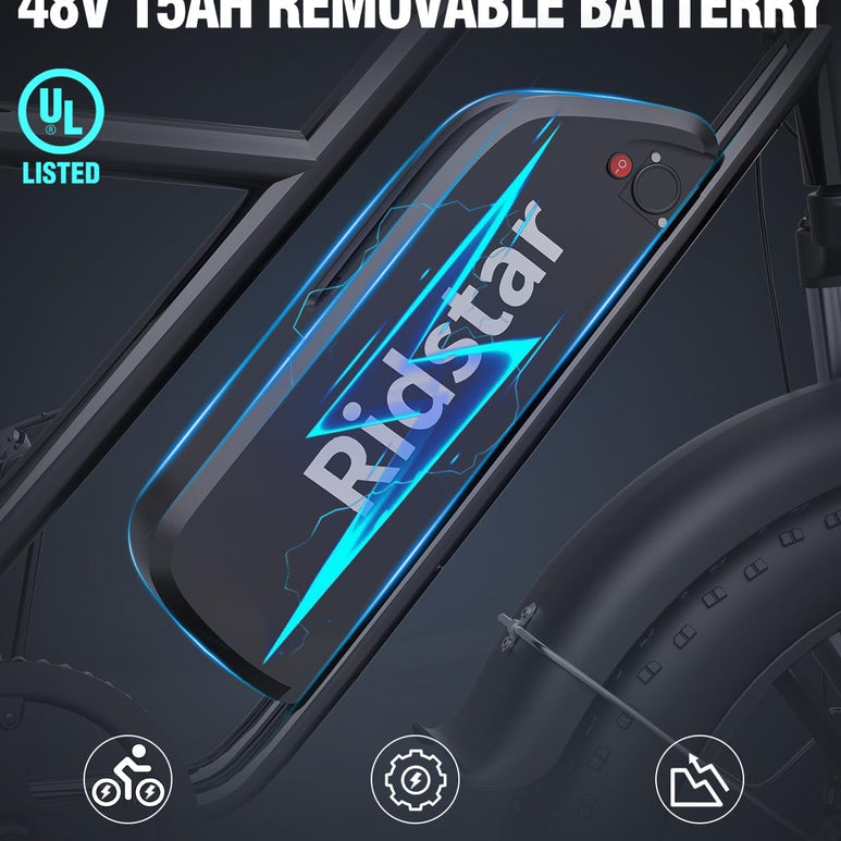 Ridstar FM001 2-Seater Fat Tire Electric Bike-2