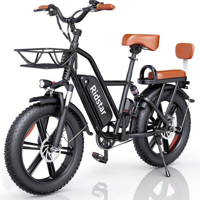 Ridstar FM001 2-Seater Fat Tire Electric Bike-1