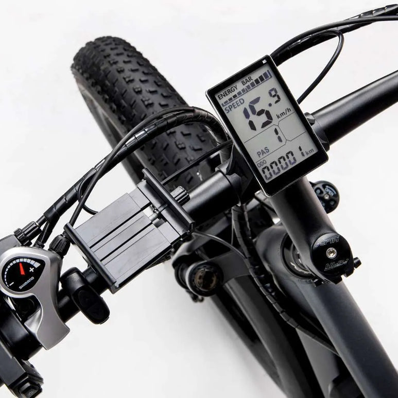 Ridstar® E Bike E26 1000W Motor 48V 20AH Battery