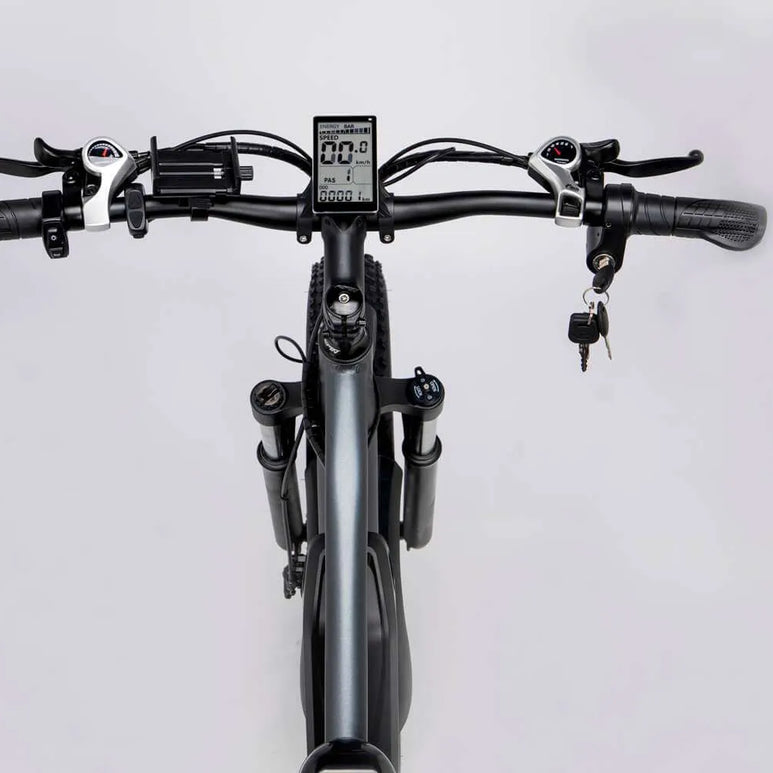 Ridstar® E Bike E26 1000W Motor 48V 20AH Battery