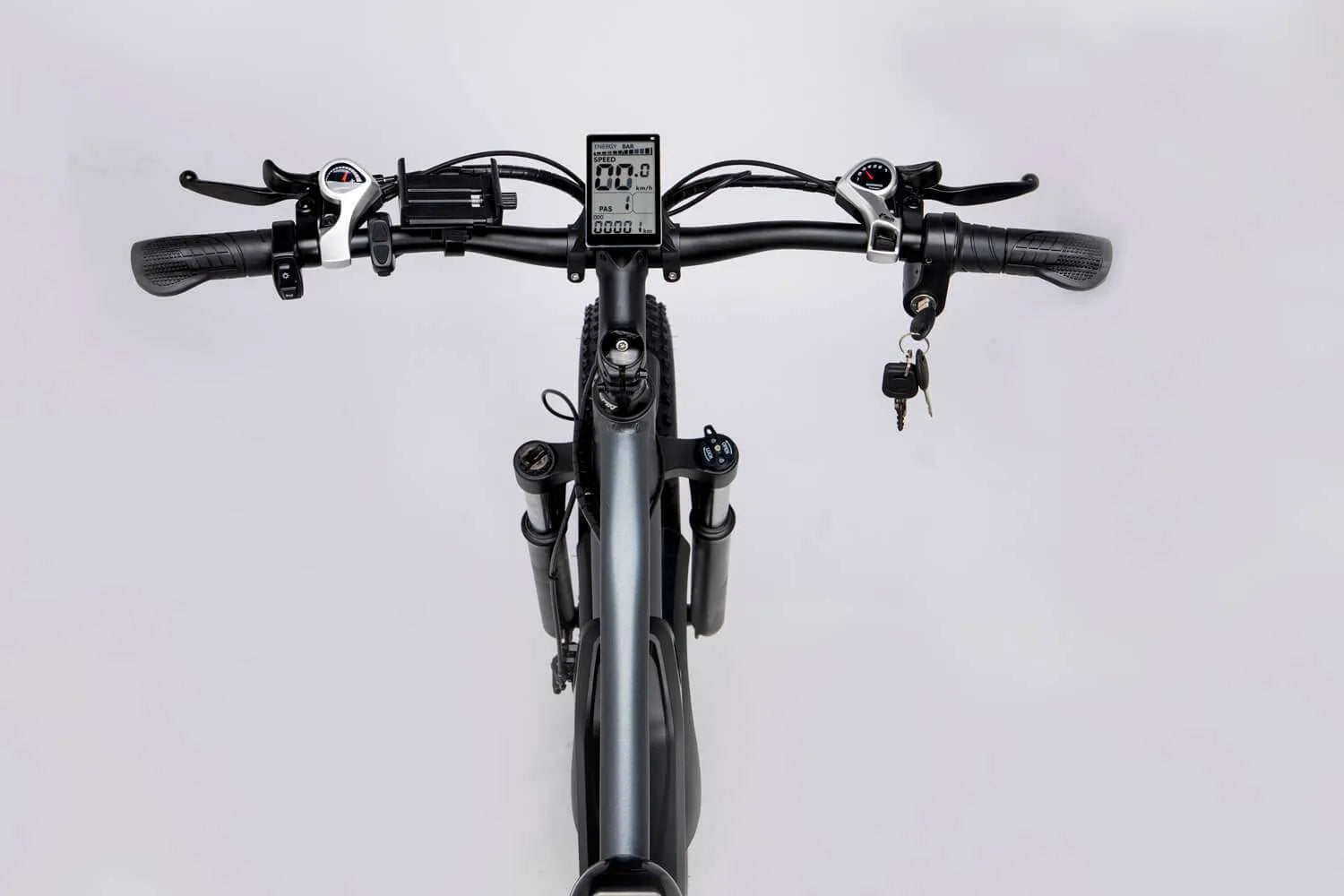 Ridstar® E Bike E26 1000W Motor 48V 20AH Battery