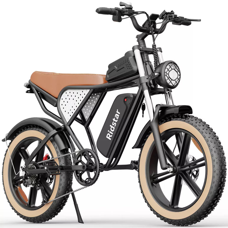 Ridstar® Q20Luxe 1500W 48V 20Ah Battery 20''Fat Tire Mountain Electric Bike for Adult * 2